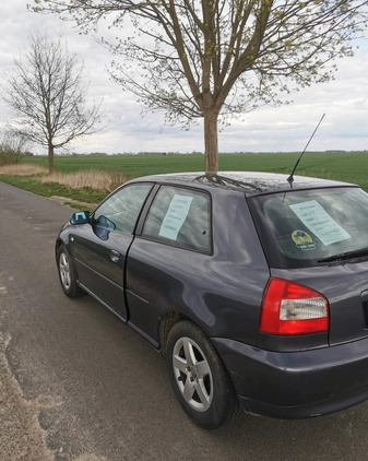 Audi A3 cena 4700 przebieg: 234000, rok produkcji 2000 z Szamotuły małe 92
